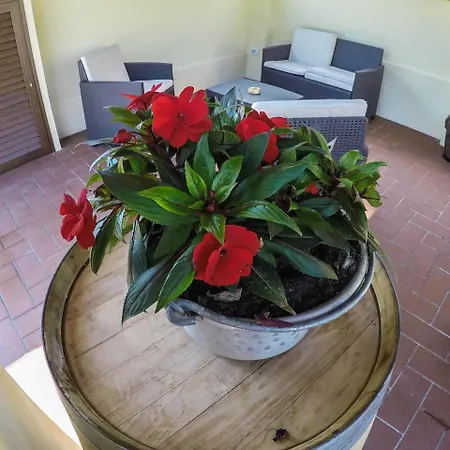 Aparthotel Casale La Fata -tipico Toscano Immerso Nelle Colline Tra Lucca E Versilia, 6 Indipendenti 4*